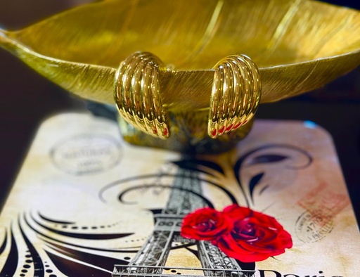 [ST 008] Five Moon Statement Gold Earrings